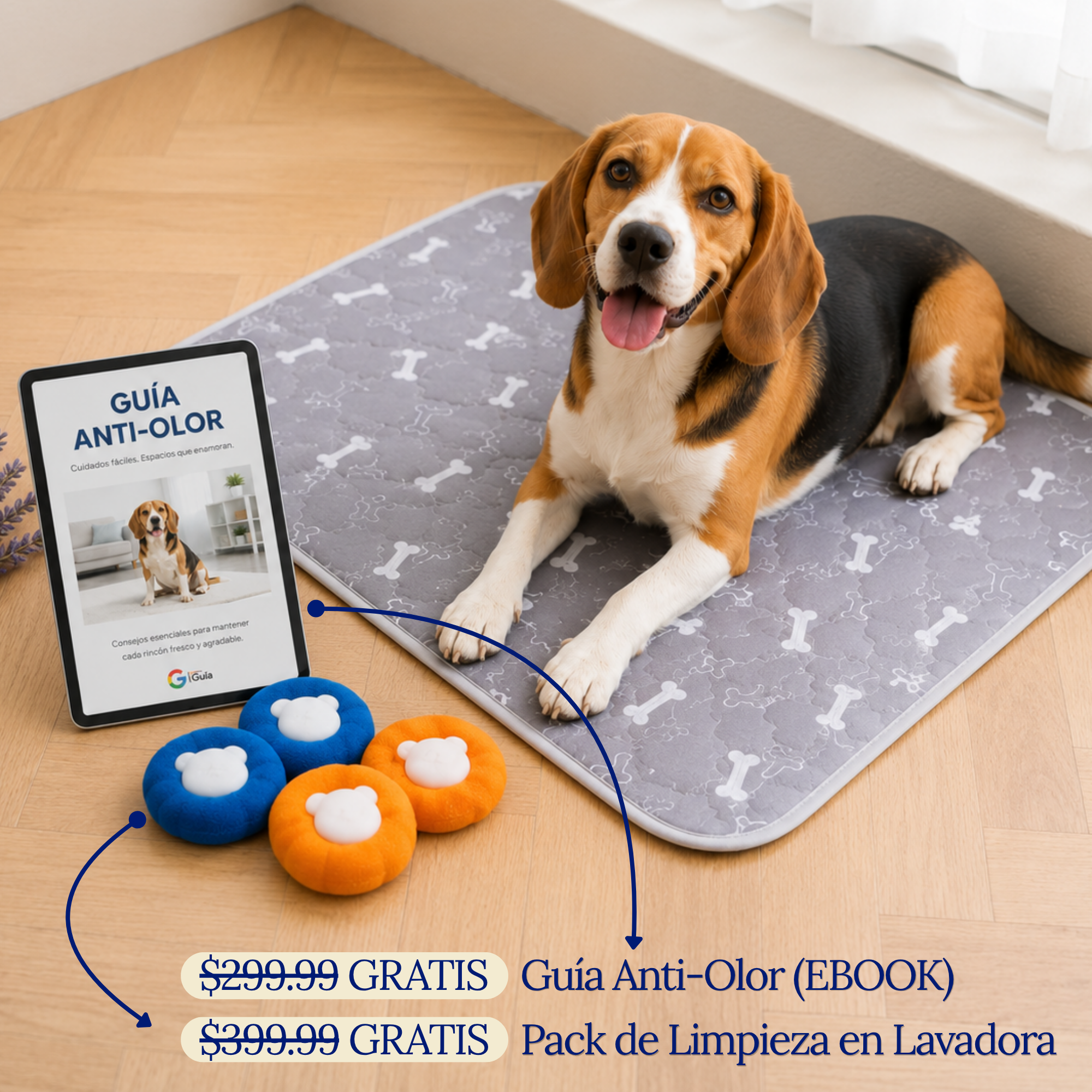Empapador Sin Entrenamiento - PawDry