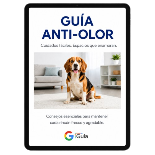 Guía Anti-Olor - PawDry